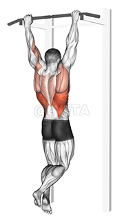 Thumbnail for the video of exercise: Rocky Pull-Up Pulldown