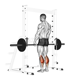 Thumbnail for the video of exercise: Smith Standing Leg Calf Raise