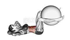 Thumbnail for the video of exercise: Weighted Crunch