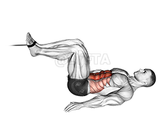 Thumbnail for the video of exercise: Cable Crunch Inverso rehegua