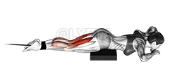 Thumbnail for the video of exercise: Band lying leg curl