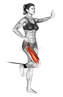 Thumbnail for the video of exercise: Band standing leg extension