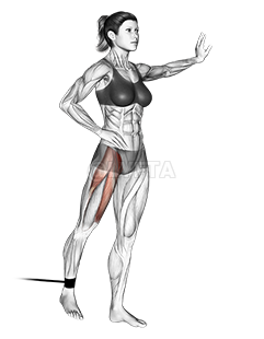 Thumbnail for the video of exercise: Ремень стоя, подъем прямой ноги