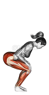 Thumbnail for the video of exercise: Uttanasana con flexión hacia adelante de pie