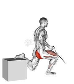 Thumbnail for the video of exercise: Band One Arm Single Leg Split Squat