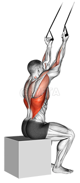 Thumbnail for the video of exercise: Band underhand pulldown