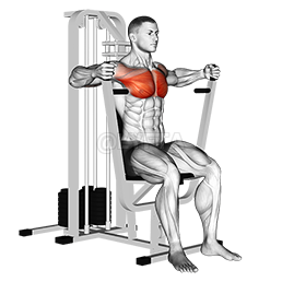Thumbnail for the video of exercise: Lever Parallel Chest Press