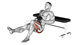 Thumbnail for the video of exercise: Weighted one leg hip thrust