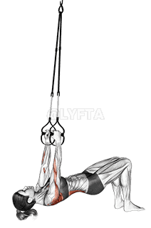 Thumbnail for the video of exercise: Suspension Bent knee Inverted Row