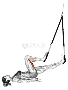 Thumbnail for the video of exercise: Suspension Hamstring Runner