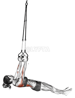 Thumbnail for the video of exercise: Suspension Inverted Row