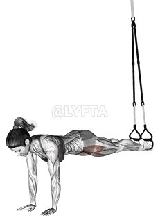 Thumbnail for the video of exercise: Suspension Pike