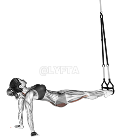 Thumbnail for the video of exercise: Suspension Pull Through