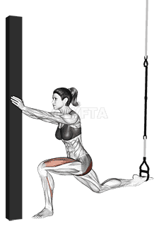 Thumbnail for the video of exercise: Suspension Single Leg Split Squat