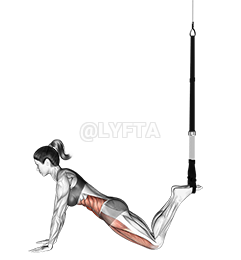Thumbnail for the video of exercise: Suspension Front Plank