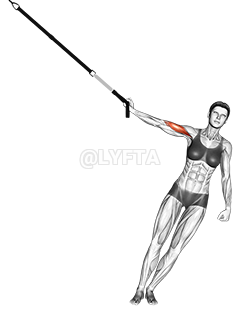 Thumbnail for the video of exercise: Suspension One Arm Biceps Curl
