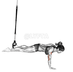 Thumbnail for the video of exercise: Suspension One Arm Leg Push-up