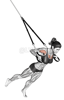 Thumbnail for the video of exercise: Suspension One Leg Chest Press