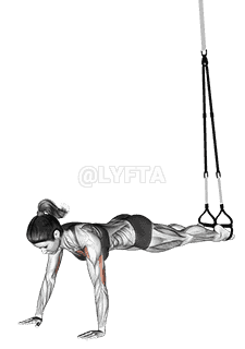 Thumbnail for the video of exercise: Suspension Push-up