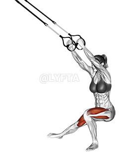 Thumbnail for the video of exercise: Suspension Side Lunge