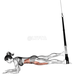 Thumbnail for the video of exercise: Suspension Single Leg Plank