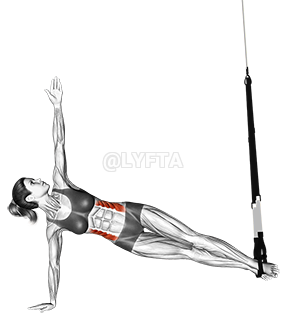 Thumbnail for the video of exercise: Suspension Star Plank