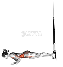 Thumbnail for the video of exercise: Suspension Star Push-up