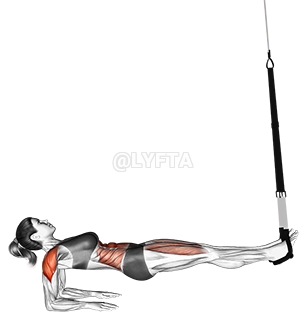 Thumbnail for the video of exercise: Suspension Supine Plank