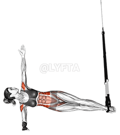 Thumbnail for the video of exercise: Suspension Twist Side