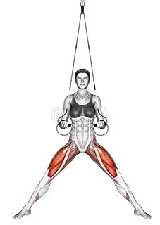 Thumbnail for the video of exercise: Suspension Side Stretch