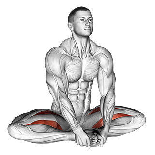 Thumbnail for the video of exercise: Seated Groin Stretch