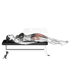 Thumbnail for the video of exercise: Lying Straight Leg Raise