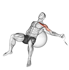 Thumbnail for the video of exercise: Cable One Arm Incline Fly on Exercise Ball