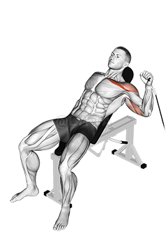 Thumbnail for the video of exercise: Cable One Arm Incline Press