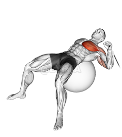 Thumbnail for the video of exercise: Cable One Arm Press on Exercise Ball