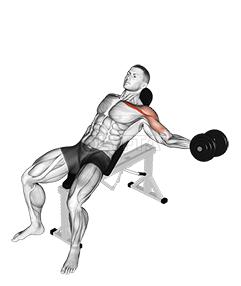 Thumbnail for the video of exercise: Dumbbell Incline Bolo kelen Fly