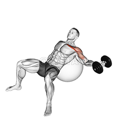 Thumbnail for the video of exercise: Dumbbell Incline One Arm Fly on Exercise Ball