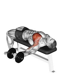 Thumbnail for the video of exercise: Dumbbell One Arm Bench Fly