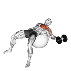 Thumbnail for the video of exercise: Dumbbell One Arm Chest Fly on Exercise Ball