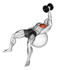 Thumbnail for the video of exercise: Dumbbell One Arm Fly on Exercise Ball