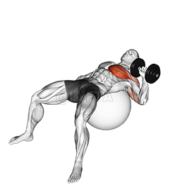 Thumbnail for the video of exercise: Dumbbell Satu Tangan Tekan pada Bola Latihan