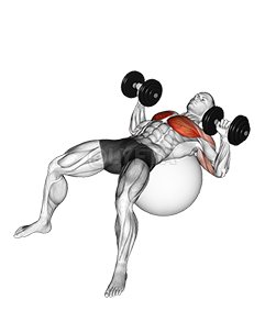 Thumbnail for the video of exercise: Dumbbell Press on Exercise Ball