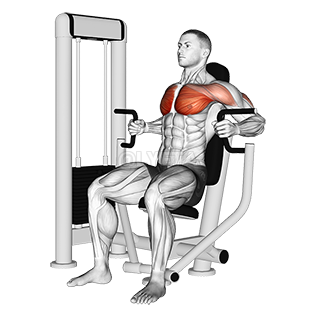 Thumbnail for the video of exercise: Machine Inner Chest Press