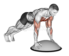 Thumbnail for the video of exercise: Push Up Bosu Ball-ზე