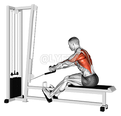 Thumbnail for the video of exercise: Rope Elevated Seated Row