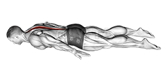 Thumbnail for the video of exercise: Lower Back Curl