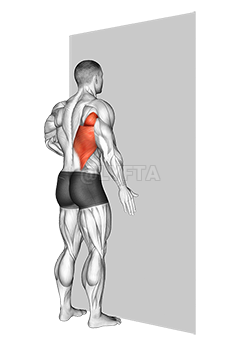 Thumbnail for the video of exercise: یک دست در برابر دیوار