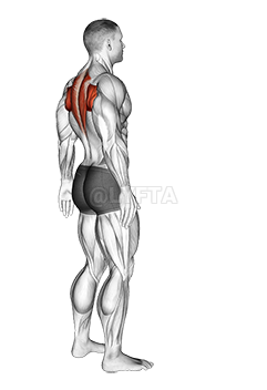 Thumbnail for the video of exercise: Upper Back Stretch