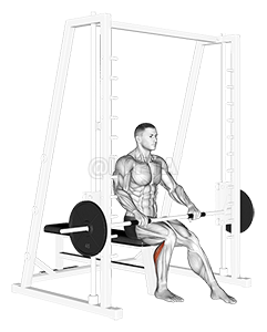 Thumbnail for the video of exercise: Smith Seated One Leg Calf Raise