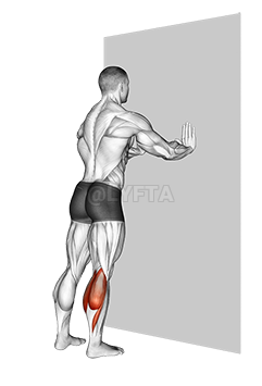 Thumbnail for the video of exercise: Standing Gastrocnemius